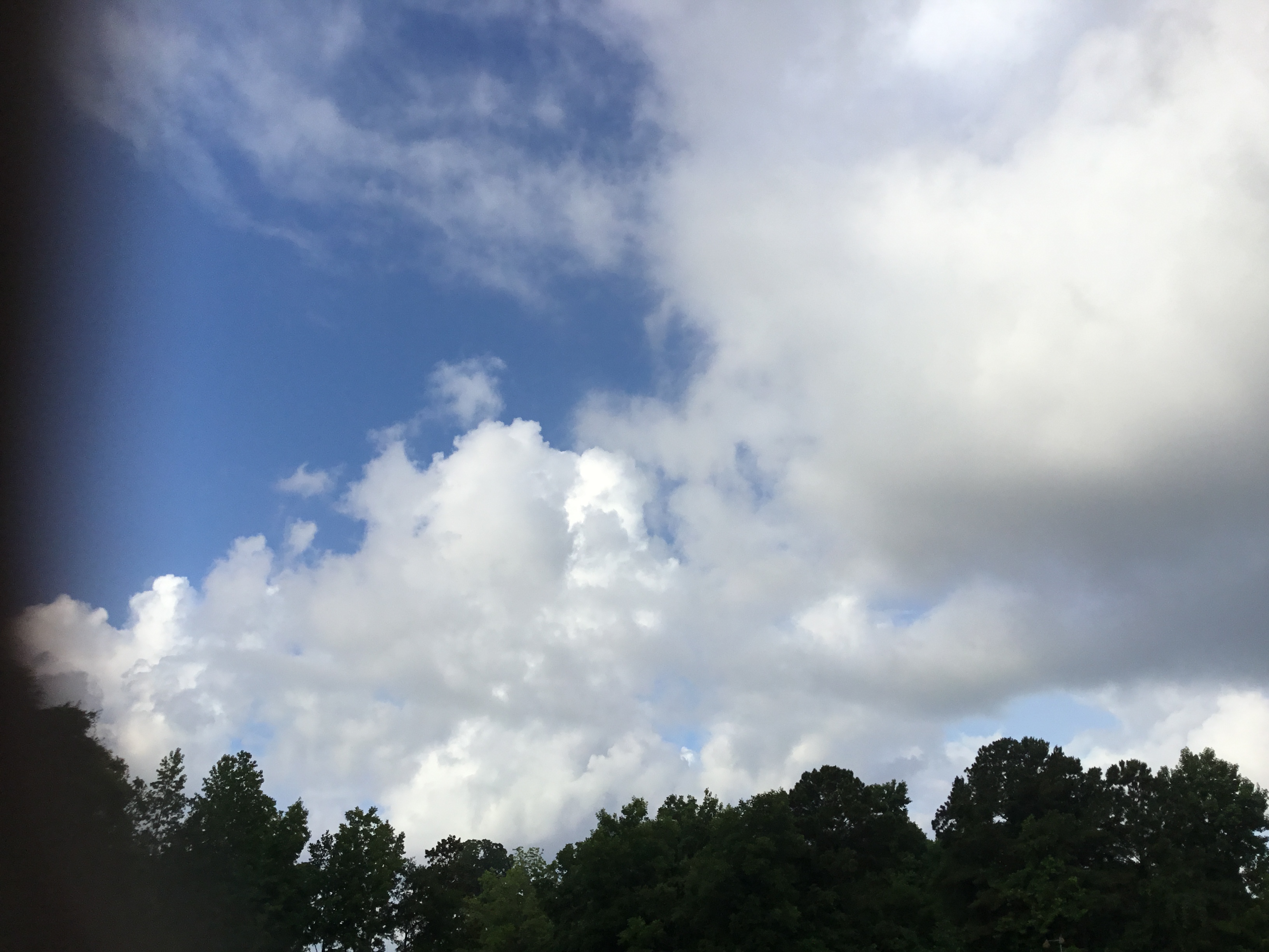 61A93698-6105-4D3C-B063-D70BC6A62868