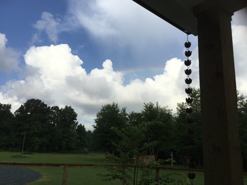 B6CCF4ED-9793-47BD-8EAC-062BB3906C02