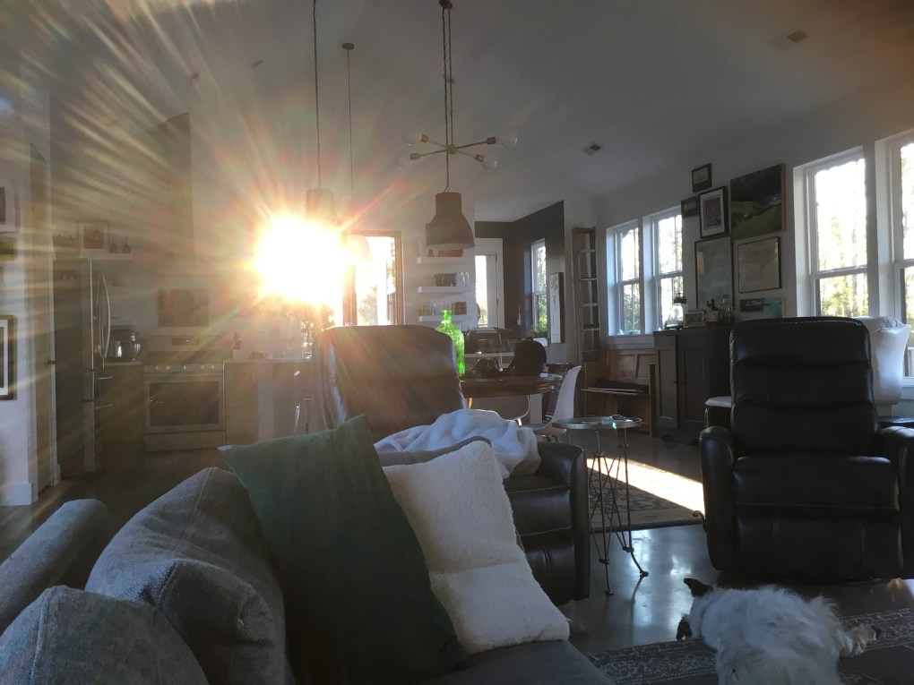 FD16D7F5-C6BC-4EE1-84CF-38EB81FEA169